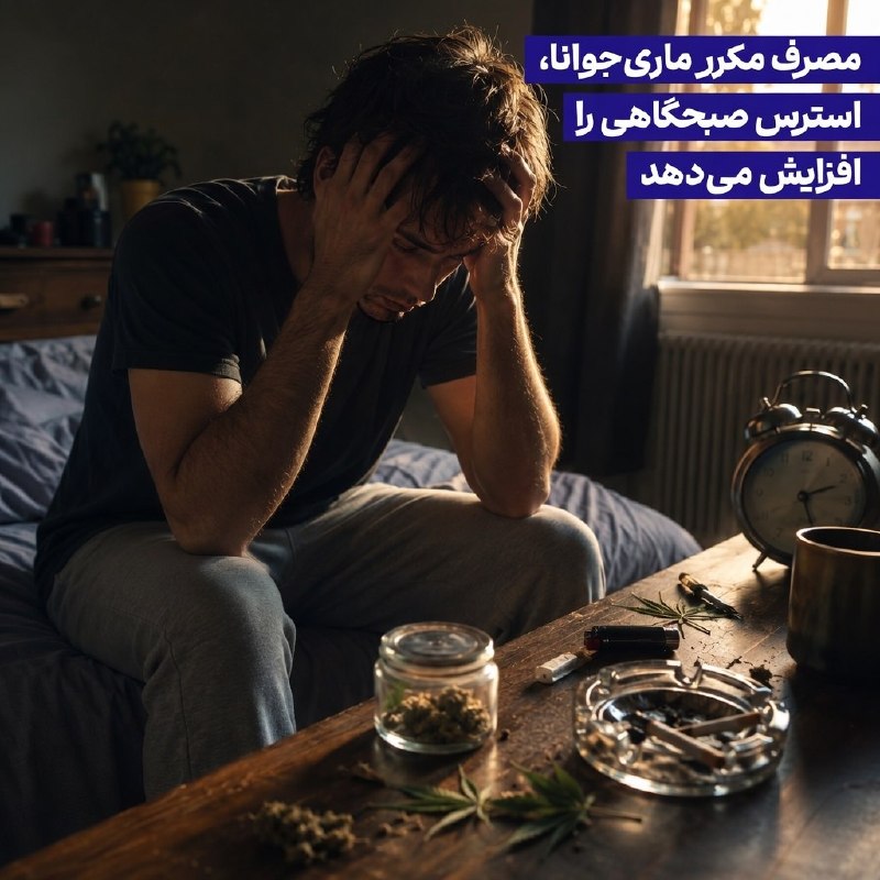 Teleboon 🅱️ تِـلـــه بـون: 🌿 مصرف مکرر ماریجوانا، استرس صبحگاهی را افزایش میدهدپژوهشگران دانشگاه ایالتی اورگن به این نتیجه رسیدند که افرادی که به