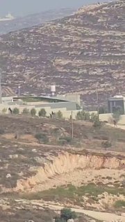 ניצן שפירא