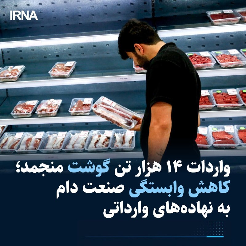 ראש המועצה לאספקת בעלי חיים ציין כי 14,000 טון בשר קפוא נכנסו לארץ דרך היבשה במהלך המלחמה.
