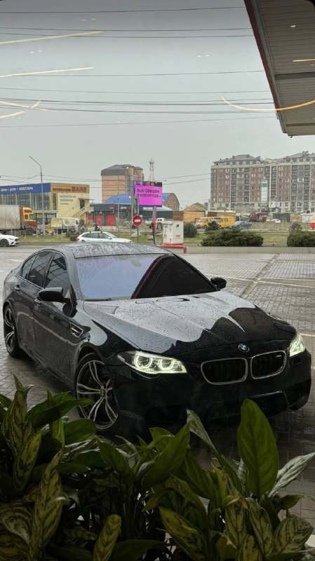 BMW M Powerhttps://t.me/bmw_mpower_club#bmw #mpower #bmwmpower #bmwworld #bmwmpo