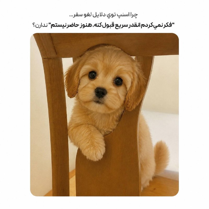 Afkar | افکار: @Afkar