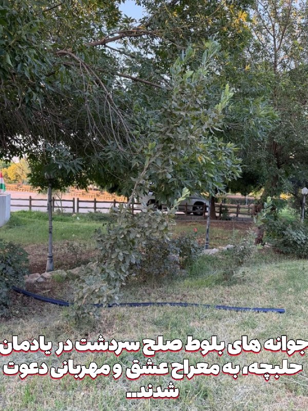 بنیاد توسعه صلح و مهربانی های کوچک: جوانه های بلوط صلح و مهربانی سردشت در یادمان حلبچه ...(٢)@sopskf
