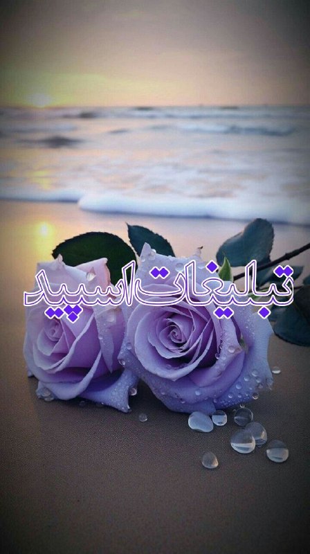 لینکدونی گروه چت سنندج: ❶﹚ نام : 𝑬𝒄𝒍𝒊𝒑𝒔𝒆❷﹚ نو؏ تبلیغات : #telegram❸﹚ توضیحات :به گپ خودتون خوش اومدید قوانین گروه:توهین بی احترامی 🚫پی وی 🚫بحث د
