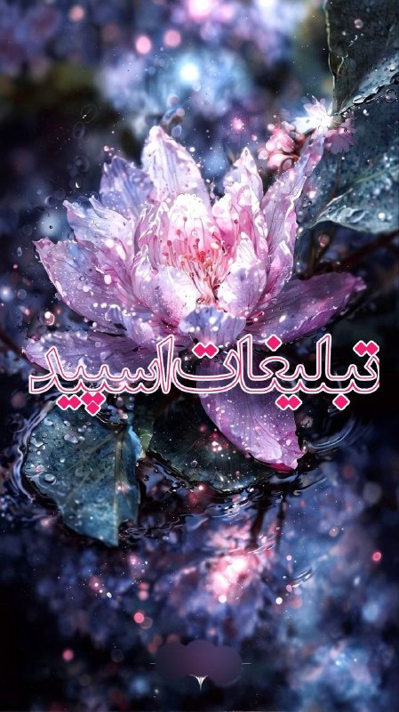 گروه دوستیابی دخترونه قزوین: ❶﹚ نام : ⎯꯭᪵̽𝆺꯭𝅥𝐖𝐈𝐋𝐃𓆩᪵🜲꯭𓆪̥𝐖𝐎𝐋𝐅⎯꯭꥓᪵ͯ⟶❷﹚ نو؏ تبلیغات : #telegram❸﹚ توضیحات :𝑊𝐸𝐿𝐶𝑂𝑀𝐸 𝑇𝑂┈┈∘┈˃༒˂┈∘┈┈#𝑨𝑩𝑹𝑮𝑷 𝐖𝐈𝐋𝐄𝐃𝐖𝐎𝐋𝐅 sɨռᴄɛ"
