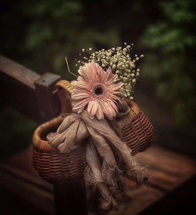 پل ارتباطی💕💗: آرزو میڪنــــــــم در ايڹ ظهر زيبا🌸🍃مهـــر،برڪـــتعشـــــــــــــــــــق،محبــــــــت🌸🍃وسلامـتیهمنشیڹ شما دوستاڹ عزیز با