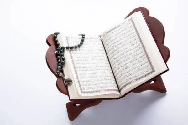 استاد مهدی دانشمند: ✅ چهار عامل سقوط و انحطاط یک جامعه از نظر قرآنآنچنان که از قرآن مجید استنباط کردهام چهار عامل است که عامل فنای اقوام ا