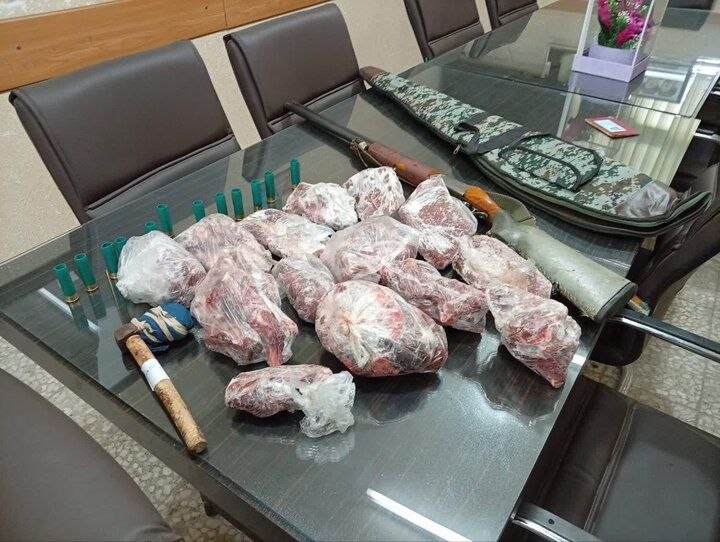 گیلانستان: 🔺کشف لاشه کل و بز وحشی و سلاح از مخفیگاه شکارچی متخلف در رودبارماموران یگان حفاظت محیط زیست با همکاری پلیس اطلاعات رودبا