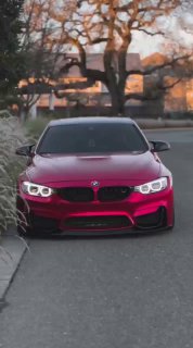 https://t.me/bmw_mpower_club