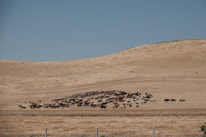 🇹🇯 帕米爾高原是一碗清粥大菜┃帕米爾高原攻略