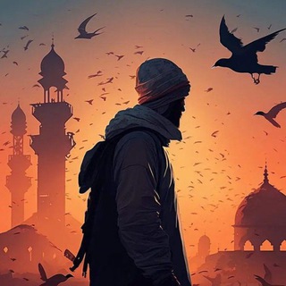 Telegram profile photo for پێشەنگ ئەرسەلان || شەڕی غەززە