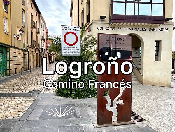 法國之路Day 7 踩著無性繁殖的水泡去Logroño