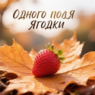 Одного поля Ягодки 🍓 Telegram channel profile photo