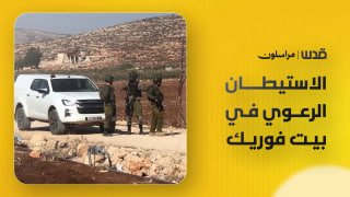 "התיישבות פסטורלית" מתרחבת מזרחית לשכם