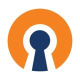 🚀 LimoVPN | لیمو وی‌پی‌ان