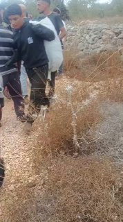 כוחות ישראל מגרשים חקלאים מאדמותיהם בדראסטיה, צפונית-מערבית לסלפית, לאחר שמתנחלים תקפו אותם בזמן מסיק זיתים…