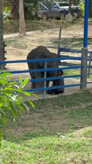 Ничего милее сегодня вы уже не увидите 13 | Pankova Home 🏠 - изображение 1 - ничего, милее, сегодня
