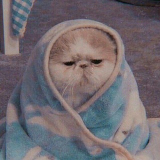 Zu hack™ Telegram Group Link