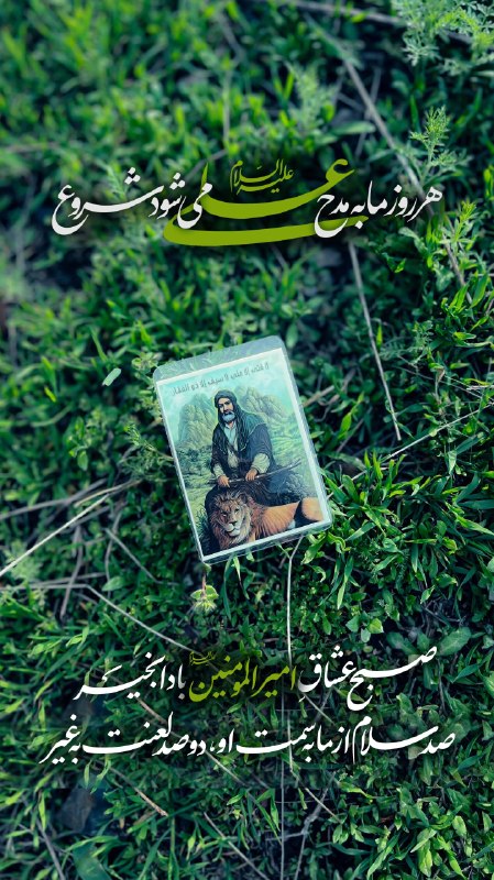 " دو خط شعر ": صبح عشاقِامیرالمومنین بادا بخیرصد سلام از ما به سمت او،دو صد لعنت به غیر...#یکشنبه‌های‌علوی🍇