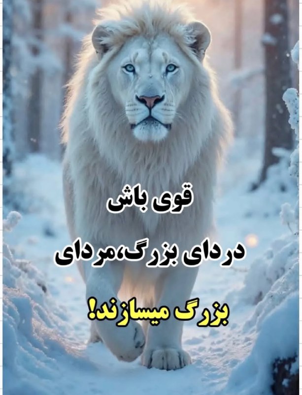 تک_عکس: رسانه پست