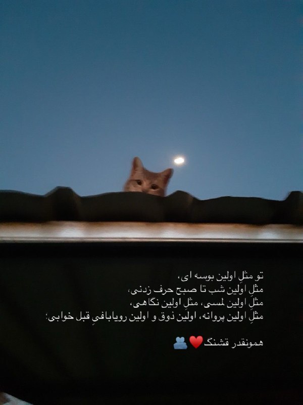 ژلوفن | gelofen: تو مثلِ اولین بوسه ای، مثلِ اولین شب تا صبح حرف زدنی، مثلِ اولین لمسی، مثلِ اولین نگاهی،مثلِ اولین پروانه، اولین ذوق و ا