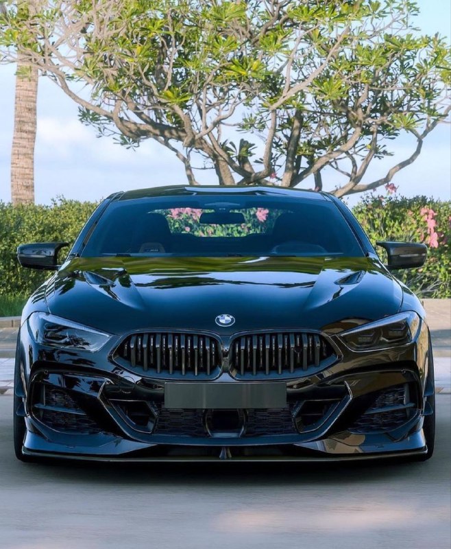 https://t.me/bmw_mpower_club