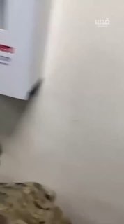 חייל אמריקאי מתעד את הרגע שבו נמלטו למקלטים בתוך בסיס "מופאק סלטי" בירדן לאחר שנשמעו הסירנות; בגלל הטילים ו…