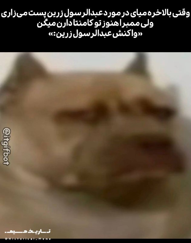 تاریخ میم 📜: از خوندنِ تاریخ تا تاریخسازی 🌟🌟🌟 لیودمیلا پاولیچنکو در سال ۱۹۱۶، در شهر بیلا تسرکفا در امپراتوری روسیه (اوکراین امروزی)