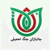 پایگاه خبری جانبازان جنگ تحمیلی معترض به حکومت