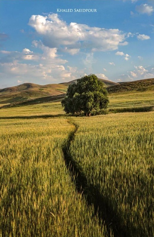 پایگاه خبری هاژه: 📆ئەمڕۆ چوارشەممە🌺 ۲٨ی گەلاوێژی ۲۷۲۶ی کوردی🌺 ۲٨ی موردادی ۱٤۰۵ی هەتاوی🌺 ۱۹ی ئووتی ۲۰۲۶ی زایینی🌺 ۶ی ڕەبیعولئەوەڵی ۱۴۴٨ی مان