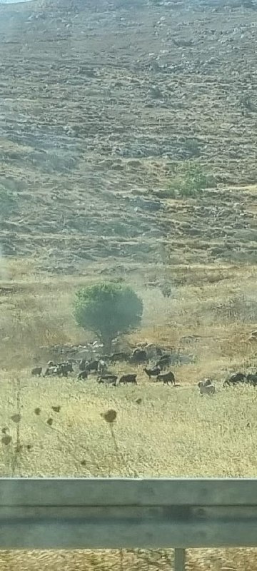 רשת חדשות ירושלים
