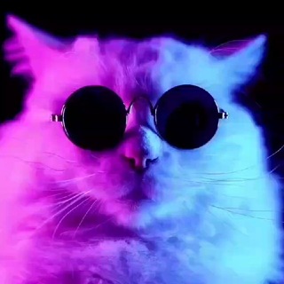Telegram profile photo for （免费社工库）（免费社工库）