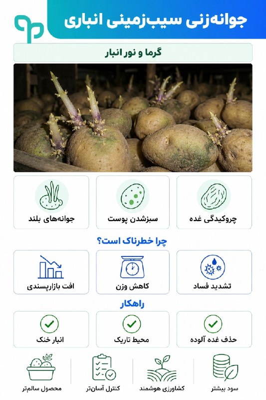 کشاورزان: جوانهزنی سیبزمینی انباریگرما و نور انبار@Baghboon_app