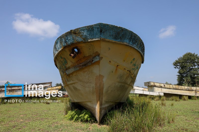 📸 מישור הדוברות