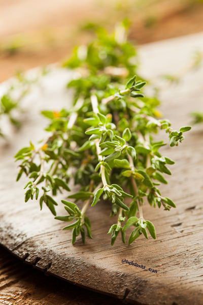 عجیب ترین ها: 🌿 فواید آویشن🌱 درمان سردرد، سرماخوردگی، گوش درد، سرخک ، سرفه ، تقویت اعصاب، افسردگی، خستگی و بی خوابی مفید است و مصرف آن