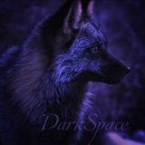 ⁺‧₊˚⋆♱DᴀrᴋSᴩᴀᴄᴇ♱⋆˚₊‧⁺