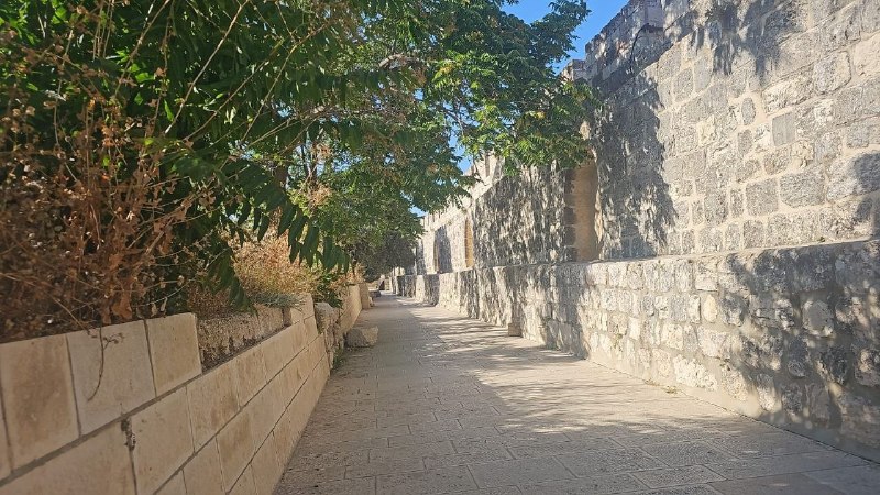 תמונה של אזור היעד בו מבצעים המתנחלים את הטקסים התנ"כיים וההשתטחות האפית שלהם ממוקמת בצד המזרחי של מסגד אל…