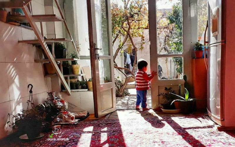 نوستالژی: مرا برگردانبه روزهایی که دمپاییِ کهنه ام را با جیک جیکِ نارنجیِ جوجه ای کوچک عوض می کردم 🐥و باران تنهاآوازِ شادی بود در 