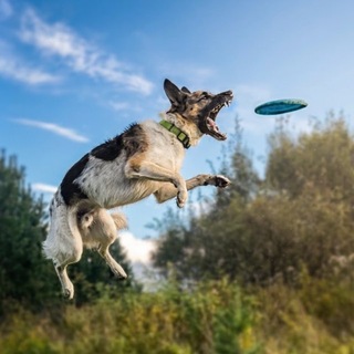 Telegram profile photo for Малыш среди миллионов