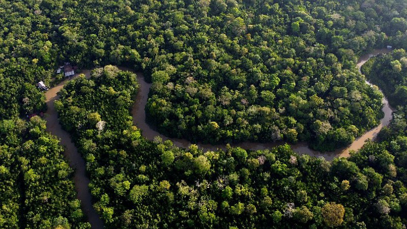 France to build high-security jail in Amazon to house drug traffickers