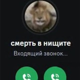 Каракатица коммишки