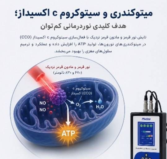 لیزر تراپی: * میتوکندری و نقش آن در مغز *⚡ نیروگاه پنهان مغز؛ میتوکندری چیست؟حتماً تا حالا اسم میتوکندری را شنیدهاید، اما شاید ندان