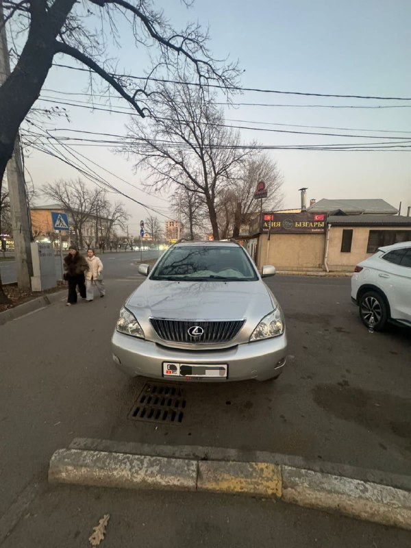Lexus RX 330 2004