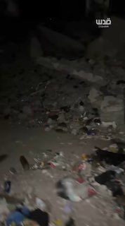 انتشار القوارض يفاقم الأزمة الصحية في غزة