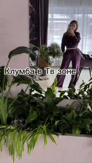 Домашние клумбы Оазис зелени в городской квартире Дизайн - изображение 1 - домашние, клумбы, оазис