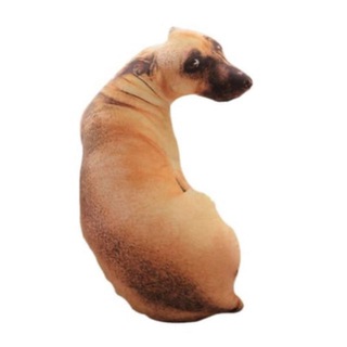 Temu DOG CTO