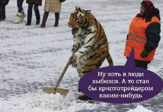 Глава Рособрнадзора Музаев призвал не пугать детей работой дворникаПо его словам, такие фразы не мотивируют школьников, а наоборот.«Это не мотивация, когда родитель говорит: я знаю, ты провалишь, будешь работать дворником. Любимая история… Это абсолютно не