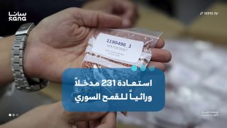 הרשות הכללית למחקר חקלאי מדעי משחזרת 231 הרשאות גנטיות עבור חיטה סורית בשיתוף מרכז בריטי.