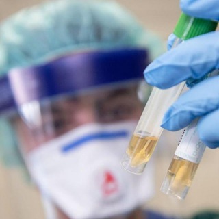 Отзывы! Сертификаты Covid-19 Telegram Group Link