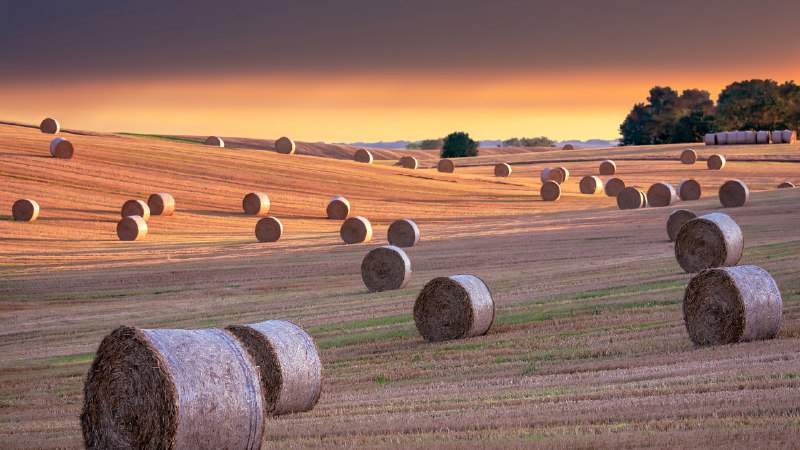 'Hay' there!Hay bales, North Yorkshire, England (© Nick Brundle Photography/Getty Images)