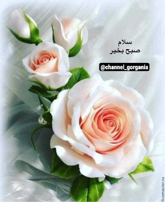کانال گرگانی ها: ‌‌‌‌آدمی به "امید" زنده استبه اینکه دوباره صبح خواهد شد شب،به اینکه دوباره سبز خواهد شد دشت،به اینکه دوباره باز خواهد شد